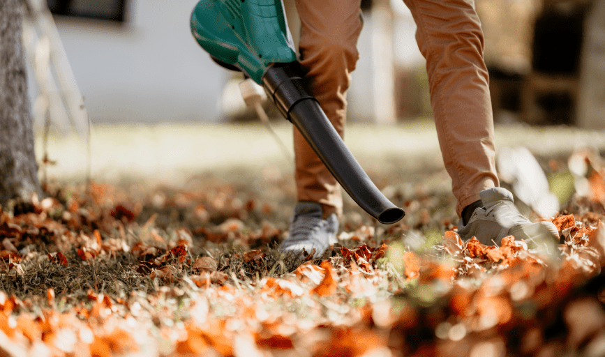 Leaf Blower Repair